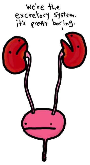 funny kidney clipart - photo #38